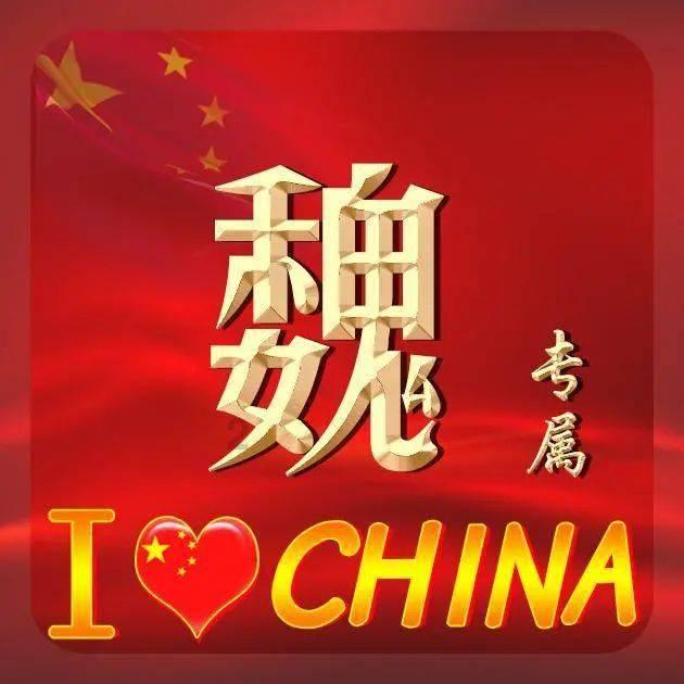 探探猫之飞天萌猫
